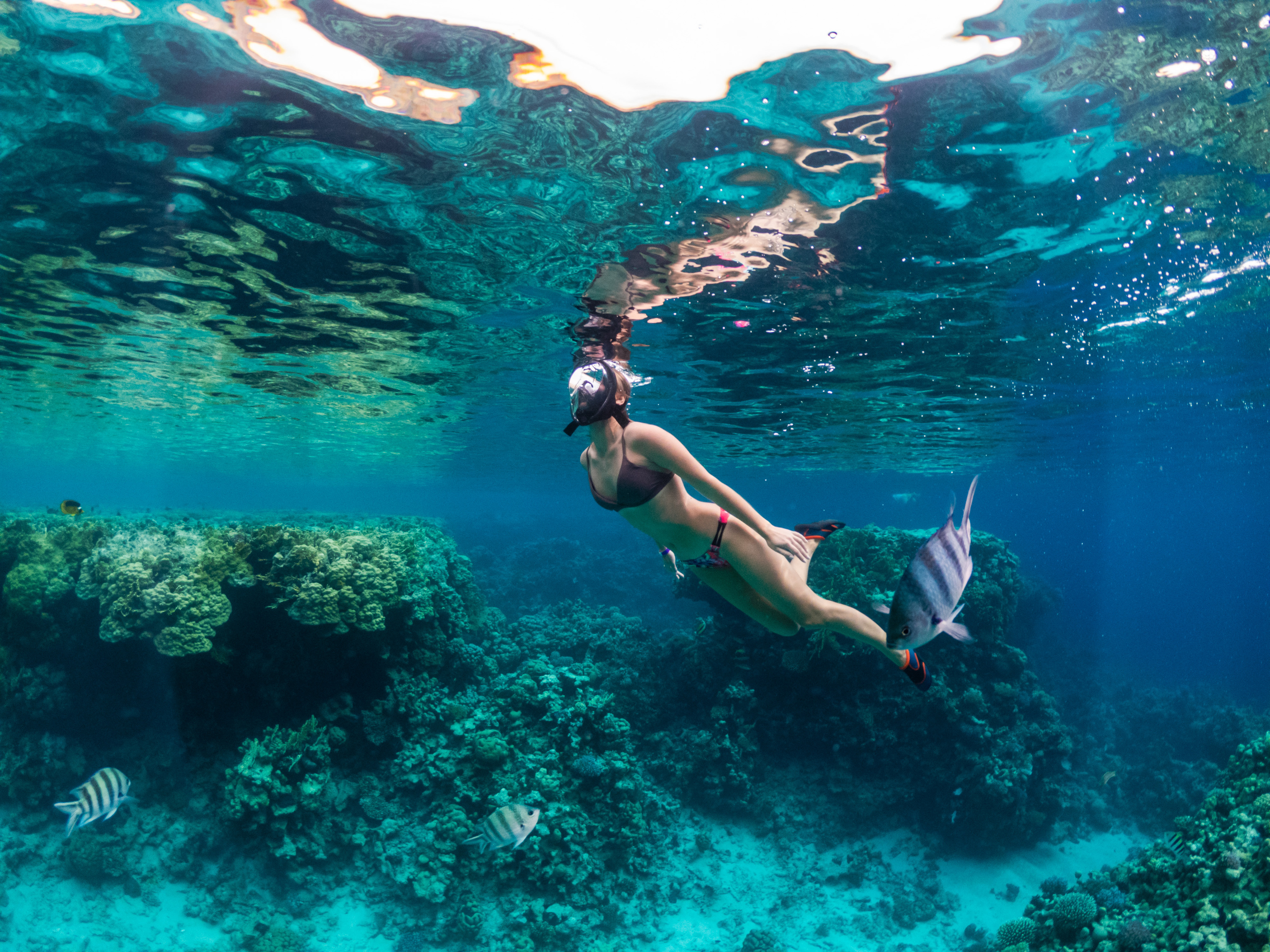 St Thomas Activities & Experiences - Frenchman's Reef